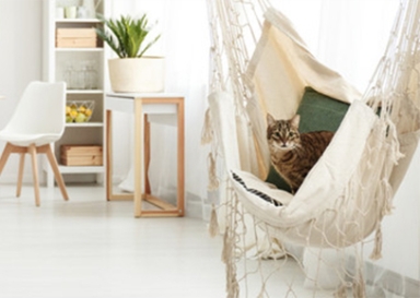 Lorem ipsum dolor sit amet consectetu to adipisicing elit sed do eius